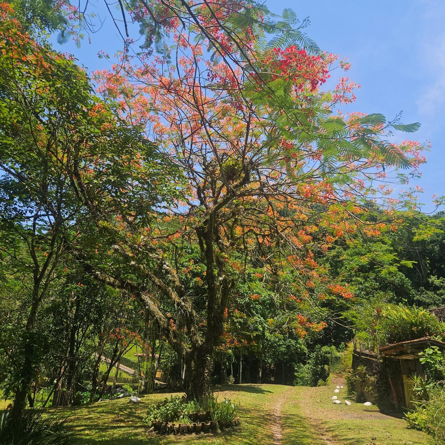 Sitio Cristo Redentor Βίλα Guapimirim Εξωτερικό φωτογραφία